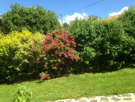 Ferme restaurée avec jardin clos et terrasse, proche Puy en Velay - Photo 26
