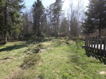 Petit Gîte Enchanté au Cœur de la Forêt du Meygal, Proche du Lac Bleu - Photo 11