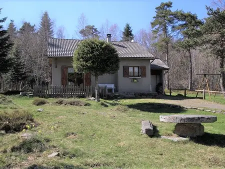 Petit Gîte Enchanté au Cœur de la Forêt du Meygal, Proche du Lac Bleu - Photo 12