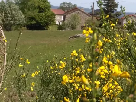 Gîte spacieux et rénové avec équipements modernes, terrasse et vaste jardin près de Gévaudan et Margeride - Photo 28