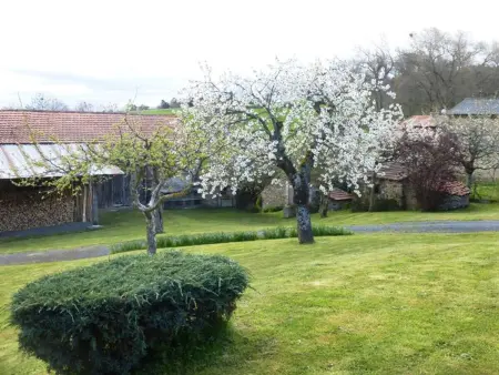 Maison de caractère avec jardin, idéale famille, près de Brioude, prox. baignade et ski - Photo 24