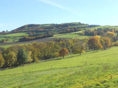 Maison de caractère avec jardin, idéale famille, près de Brioude, prox. baignade et ski - Photo 30