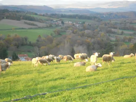 Maison de caractère avec jardin, idéale famille, près de Brioude, prox. baignade et ski - Photo 31
