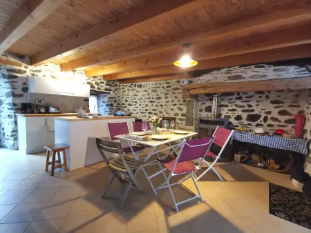 Charmante maison dans les gorges de la Loire avec terrasses et poêle à bois - Photo 1