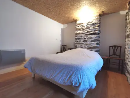 Charmante maison dans les gorges de la Loire avec terrasses et poêle à bois - Photo 8