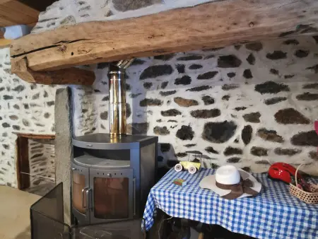 Charmante maison dans les gorges de la Loire avec terrasses et poêle à bois - Photo 9