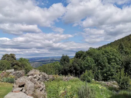Charmante maison dans les gorges de la Loire avec terrasses et poêle à bois - Photo 17