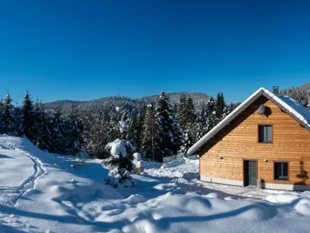 Chalet familial spacieux avec SPA, salle de jeux, près des pistes - 14 pers, Vosges - Photo 10