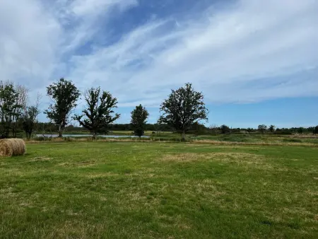 Gîte au cœur du Parc de la Brenne avec jardin, terrasse et parking - Photo 4