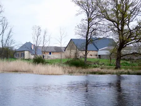 Gîte au cœur du Parc de la Brenne avec jardin, terrasse et parking - Photo 9