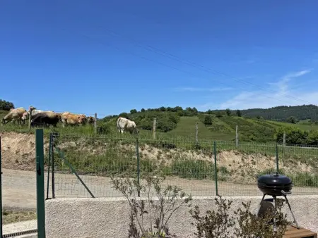 Charmant gîte à la ferme avec terrasse et animaux admis - Photo 16