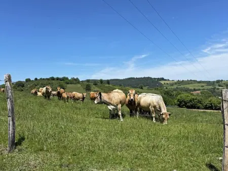 Charmant gîte à la ferme avec terrasse et animaux admis - Photo 17