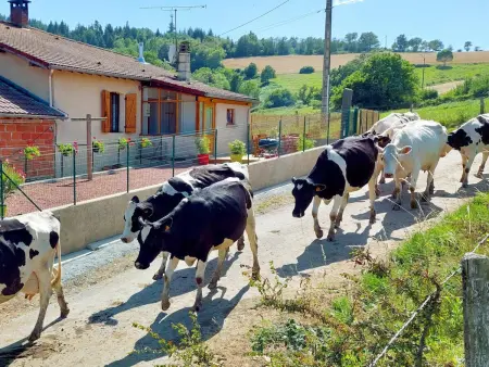 Charmant gîte à la ferme avec terrasse et animaux admis - Photo 18