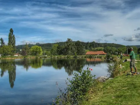 Charmant gîte à la ferme avec terrasse et animaux admis - Photo 26