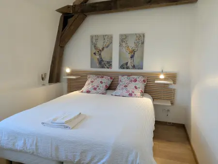 Maison spacieuse avec jardin privatif, idéale pour 6, proche Orléans et Châteaux de la Loire - Photo 4