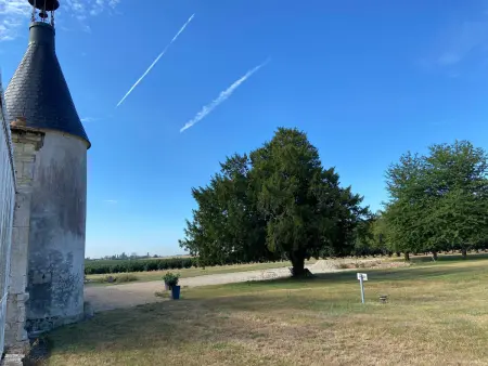 Maison spacieuse avec jardin privatif, idéale pour 6, proche Orléans et Châteaux de la Loire - Photo 30