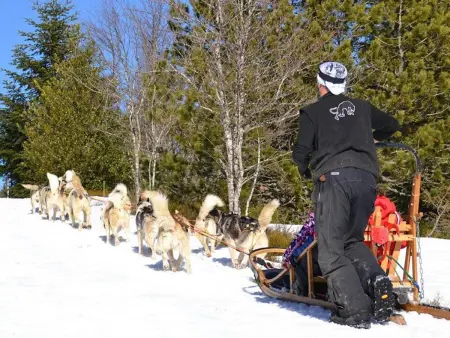Gîte chaleureux avec animaux admis et wifi à Saint-Jean-la-Vêtre - Photo 15