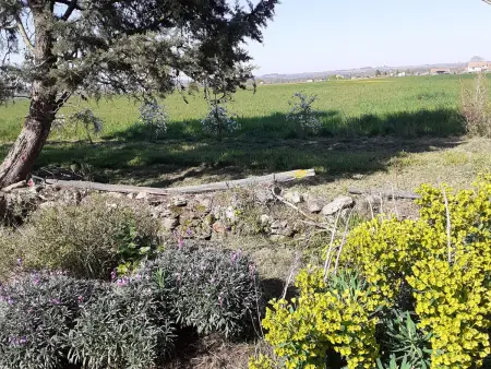 Gîte charmant avec jardin au cœur du vignoble du Layon, proche Saumur, 9 couchages, vélos inclus - Photo 33