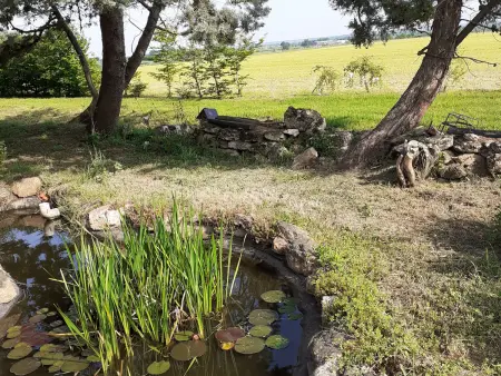 Gîte charmant avec jardin au cœur du vignoble du Layon, proche Saumur, 9 couchages, vélos inclus - Photo 34