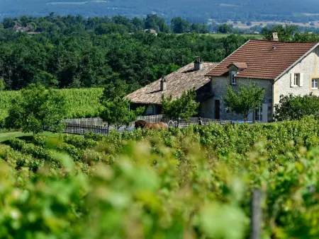 Grande maison de campagne avec piscine privée et animaux admis - Photo 1
