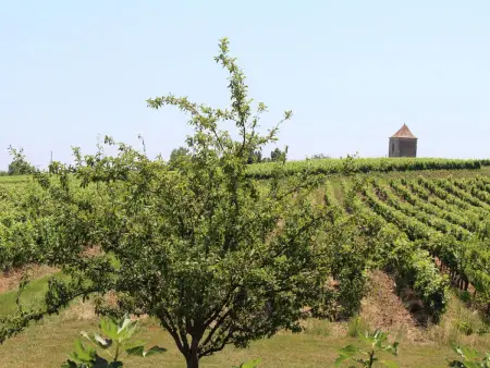 Grande maison de campagne avec piscine privée et animaux admis - Photo 29