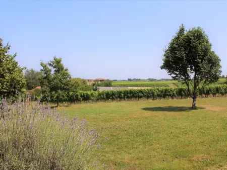 Grande maison de campagne avec piscine privée et animaux admis - Photo 31