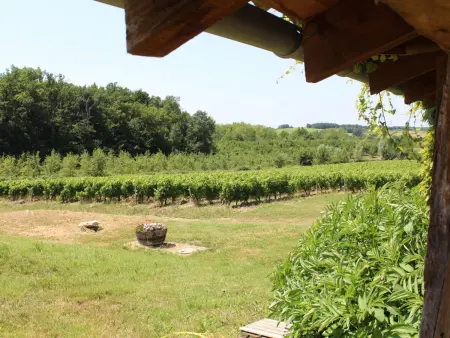 Grande maison de campagne avec piscine privée et animaux admis - Photo 32