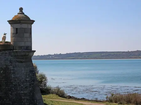 Élégante maison moderne à St Vaast la Hougue, Gite 4 personnes à Saint Vaast la Hougue - Photo 17