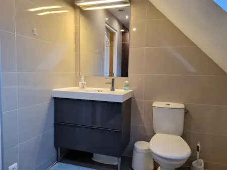 Maison charmante rénovée avec jardin près de Fontainebleau et de la forêt d'Orléans - Photo 9
