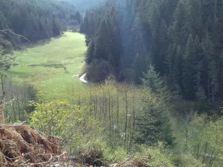 Maison de plain-pied rénovée en 2018 avec jardin privatif, calme, nature et activités à Saint-Julien - Photo 12