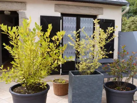 Maison 2** avec Jardin, Terrasse et Parking Privé à 800m de la Plage de Trestraou, Perros-Guirec - Photo 7