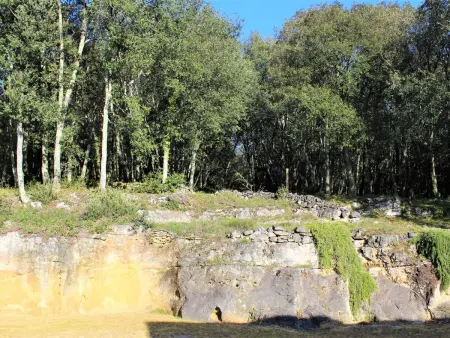 Charmante maison près de Domme et La Roque-Gageac - Photo 7