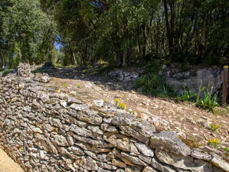 Charmante maison près de Domme et La Roque-Gageac - Photo 24