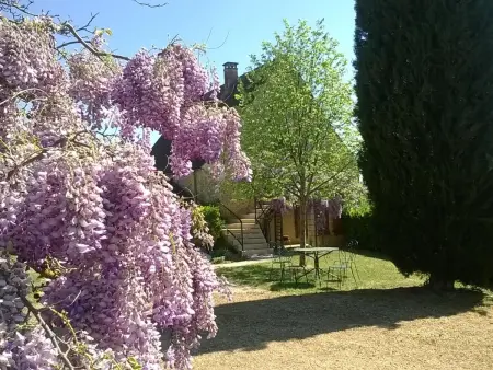 Maison périgourdine avec piscine et wifi, animaux admis, près de Domme - Photo 17