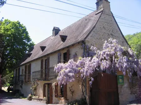 Maison pour 6 pers. avec piscine privée et animaux acceptés - Photo 15