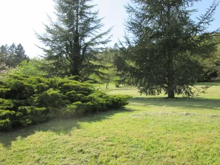 Maison pour 6 pers. avec piscine privée et animaux acceptés - Photo 22