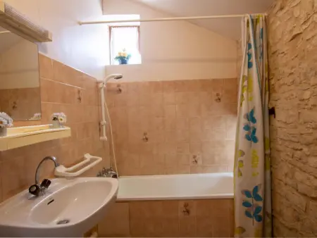 Maison 40m² dans Vallée de l'Auvézère, animaux acceptés - Photo 9