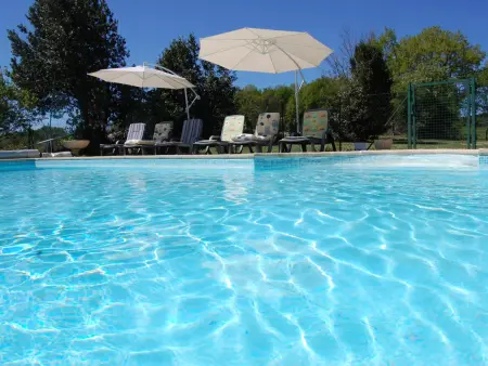 Maison indépendante avec piscine chauffée près de Montignac, animaux acceptés - Photo 2