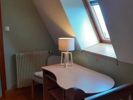 Maison indépendante avec piscine chauffée près de Montignac, animaux acceptés - Photo 19