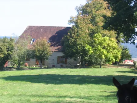 Maison indépendante avec piscine chauffée près de Montignac, animaux acceptés - Photo 20