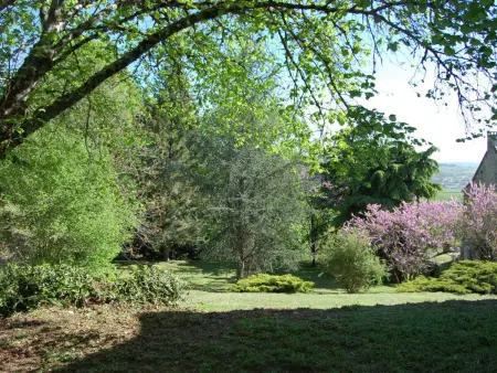 Maison indépendante avec piscine chauffée près de Montignac, animaux acceptés - Photo 25