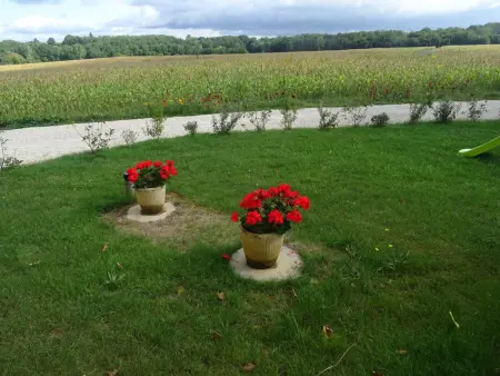 Maison confortable près de Sarlat avec jardin et wifi - Photo 24