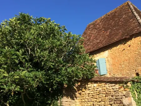 Maison isolée avec jardin et animaux acceptés, Gite 4 personnes à Paunat - Photo 15
