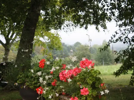 Maison en pierres au cœur du Périgord Noir avec Wifi et animaux bienvenus - Photo 14