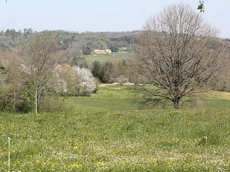 Maison en pierres au cœur du Périgord Noir avec Wifi et animaux bienvenus - Photo 16