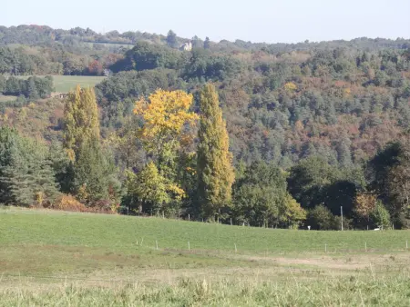 Maison en pierres au cœur du Périgord Noir avec Wifi et animaux bienvenus - Photo 18