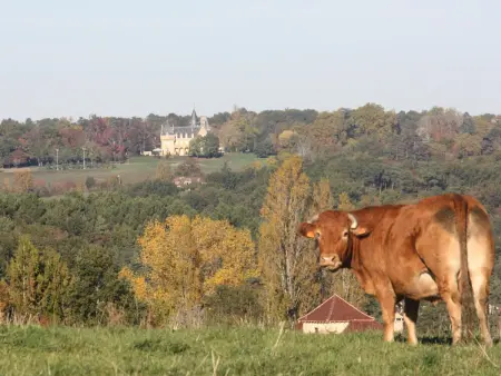 Maison en pierres au cœur du Périgord Noir avec Wifi et animaux bienvenus - Photo 19