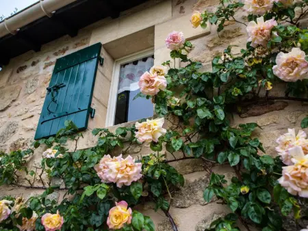 Charmante maison en pierre avec jardin et cheminée, animaux acceptés - Photo 3