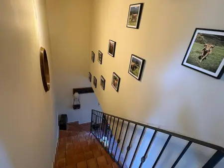 Maison de campagne rénovée avec 2 chambres et piscine privée - Photo 7