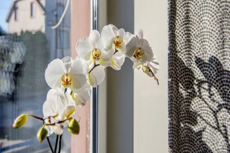 LE MILLE FIORI HOUSE, Séjour spacieux à Lemberg - Photo 38
